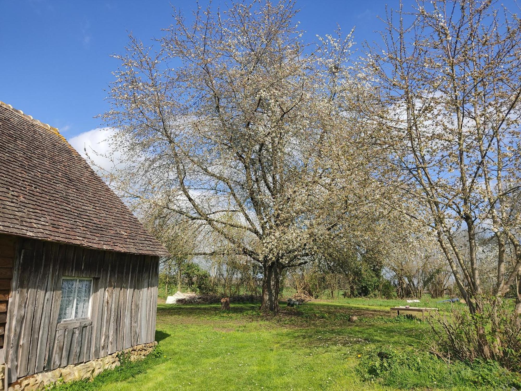 La Valise A Cheval Bed & Breakfast Mezieres-sur-Ponthouin Dış mekan fotoğraf